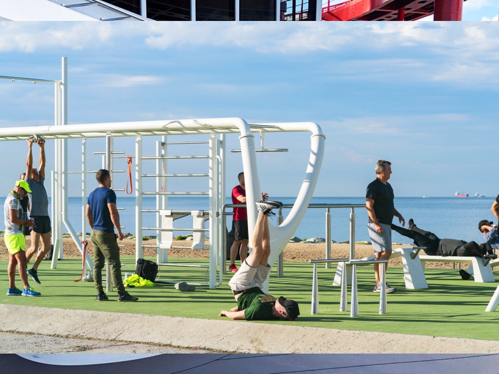 outdoor beach fitness equipment full body workout monkey bars award winning design white 