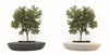 round planter flowerbed with bench seating outdoor tree stone terrazzo