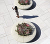 white granite round planter flowerbed with bench seating outdoor tree stone terrazzo